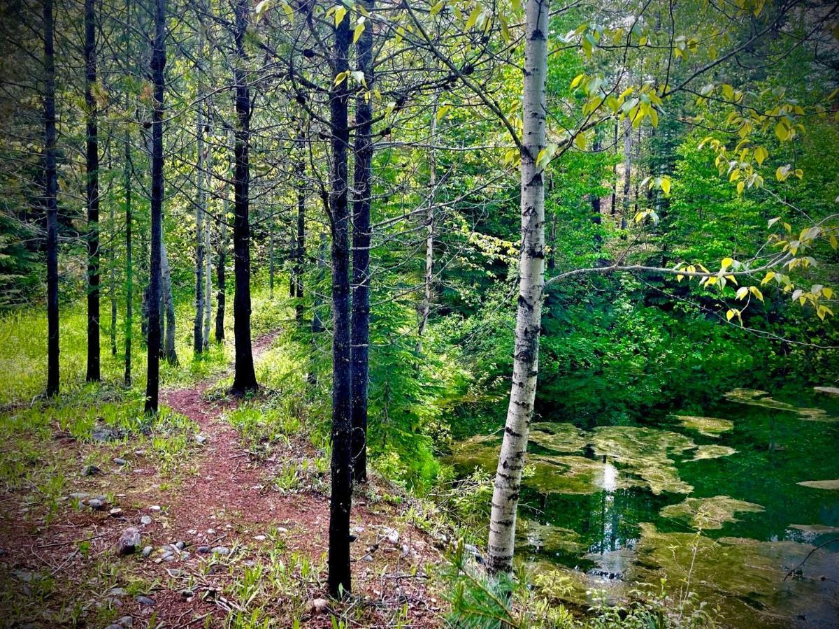 Moss Mountain Inn كولومبيا فولز المظهر الخارجي الصورة